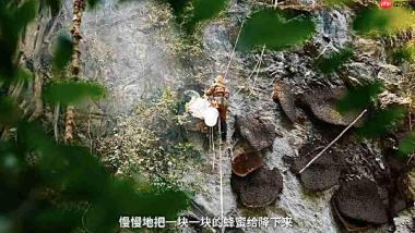 以科技致敬劳作,凯迪仕i60Ultra AI智能锁携手影视飓风见证自然与坚守