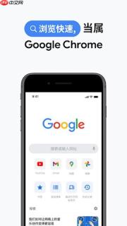 谷歌浏览器pc端入口_谷歌chrome电脑版官方正版下载