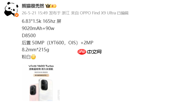 vivo Y600 Turbo配置曝光:天玑8500+9020mAh电池