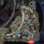 艾尔登法环黑夜君临大空洞水晶点位在哪-艾尔登法环黑夜君临大空洞水晶位置介绍