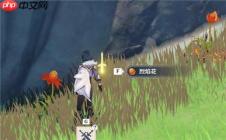 原神3.3版本烈焰花怎么收集效率最高