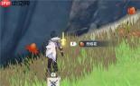 原神3.3版本烈焰花怎么收集效率最高