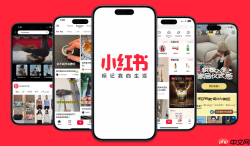 小红书pc端官方下载 小红书电脑版登陆入口
