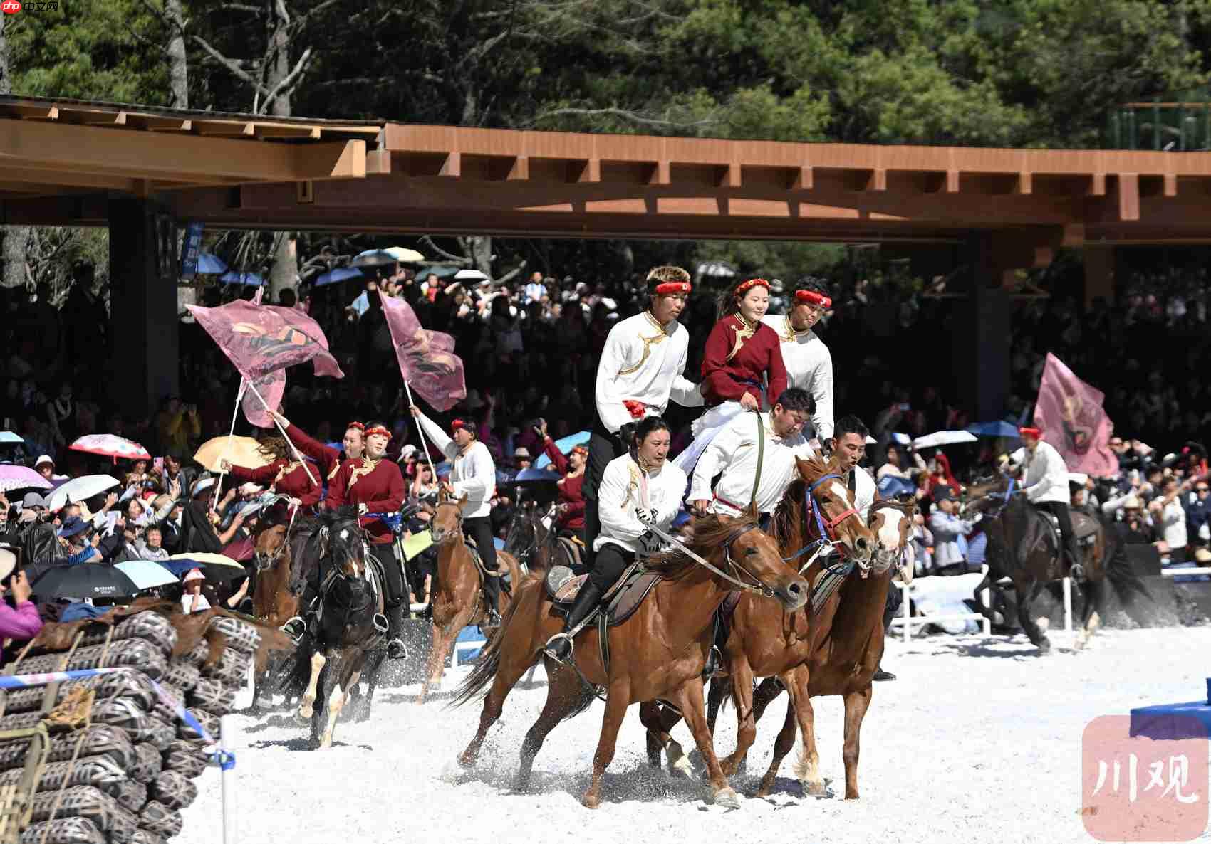 2026年“四月八”跑马山系列民俗活动盛大启幕 一场“视觉盛宴”闪耀情歌城