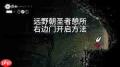 空洞骑士丝之歌远野朝圣者憩所如何免费进入