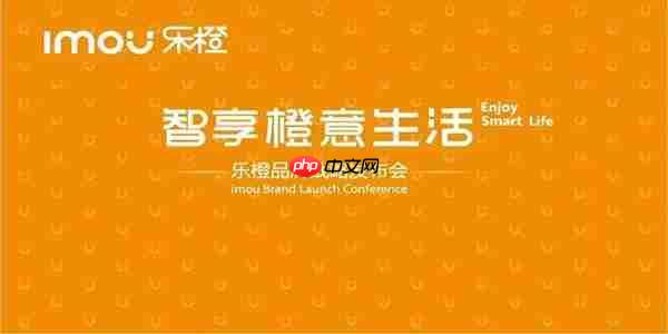 乐橙如何在电脑上看监控设备?乐橙在电脑上看监控设备的步骤