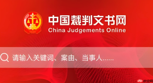 中国裁判文书网在线访问工具：便捷查看全国判决结果