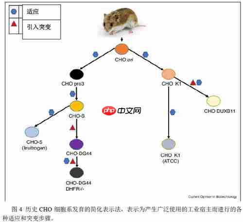 海水密度主要受哪些因素影响-海水密度受影响的因素有哪些