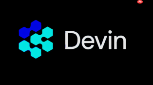 Devin AI支持主流编程语言详解：Python/Java/JS/TS适配【详解】
