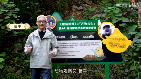 九年同行不负热爱!《碧蓝航线》喜迎9周岁生日双向奔赴共赴新程