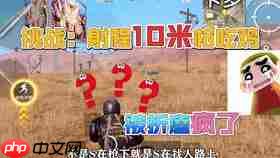 红色沙漠红狐商团任务怎么做