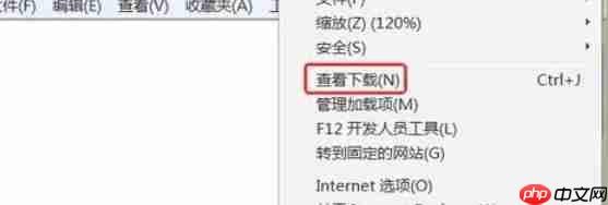 ie9怎么修改下载默认的储存位置-ie9修改下载默认的储存位置的方法