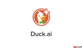 duck.ai在api文档理解中的辅助：让ai解释复杂接口文档的使用方法