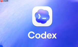 codex如何查看系统资源占用详情【技巧】