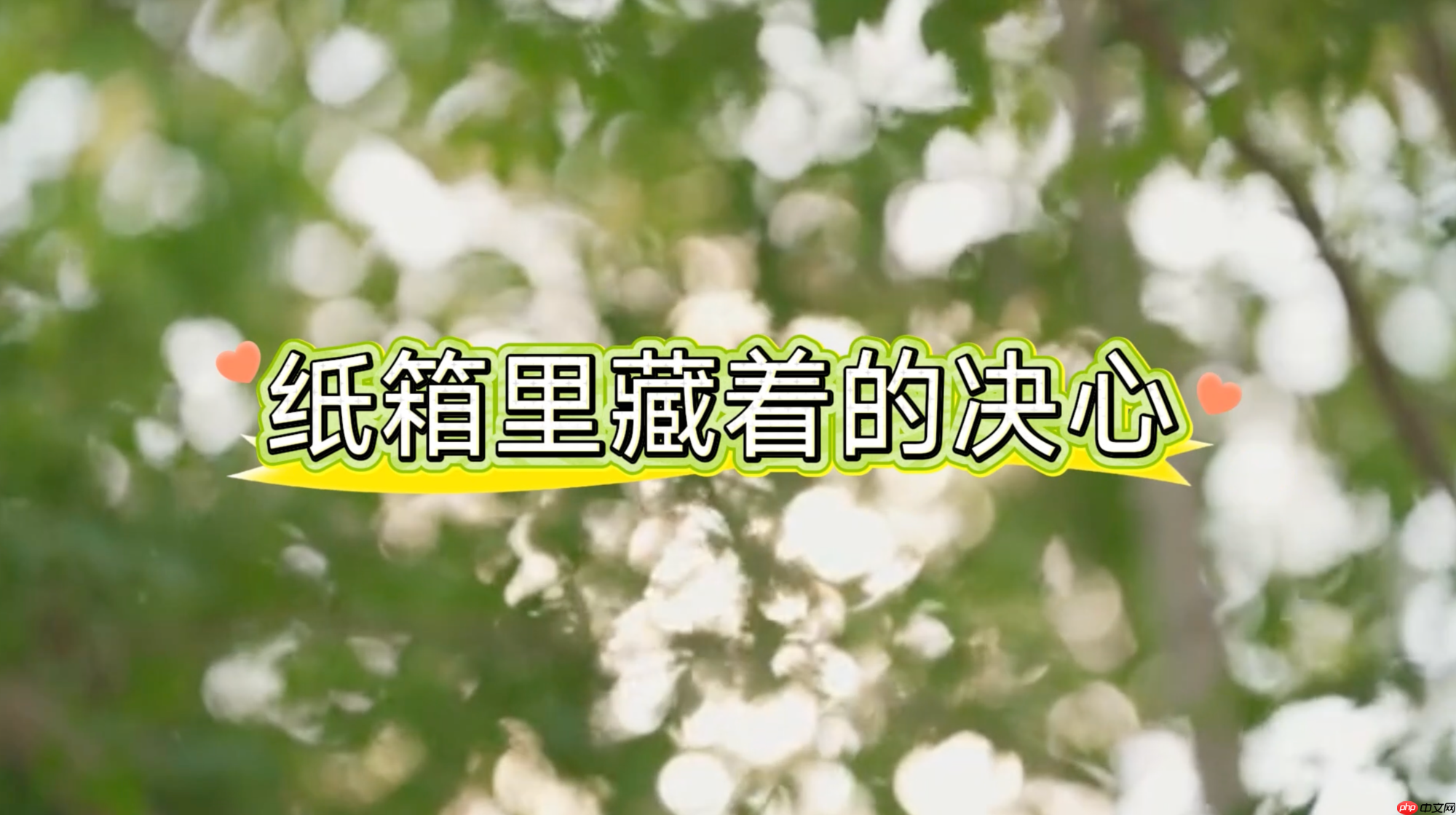 用工程师思维践行低碳环保,九号公司的包装里藏着多少“机密”