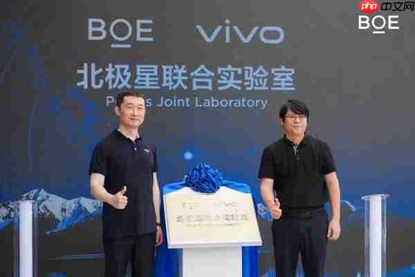 京东方与vivo成立北极星联合实验室 将开展深度联合研发