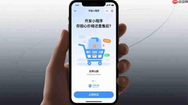 开发小程序,你担心价格还是售后?