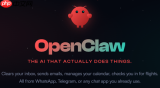 openclaw支持的功能有哪些