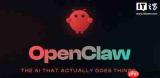openclaw支持的功能有哪些