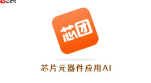 一站式服务：芯团网登陆入口与注册说明