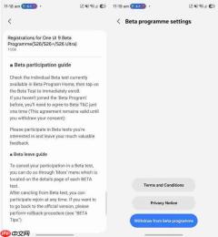 三星简化One UI Beta流程:一次同意终身有效