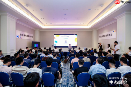 首届HUAWEI HiPlay生态峰会发布空间音频技术,开启全场景沉浸音频新时代