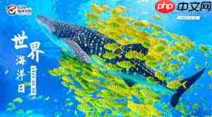 哪种海洋生态系统被誉为海洋生物的幼儿园-被誉为海洋生物幼儿园的是哪种海洋生态系统