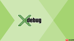 Xdebug条件断点怎么用？精准定位循环Bug超实用方法【操作】