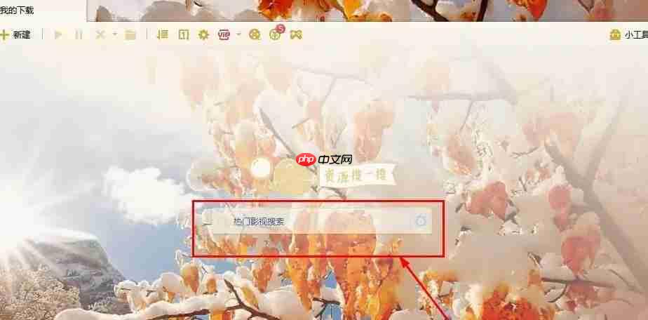 迅雷怎么搜索资源-迅雷搜索资源的方法