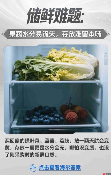 探索智慧科技:储鲜难题,海尔答案