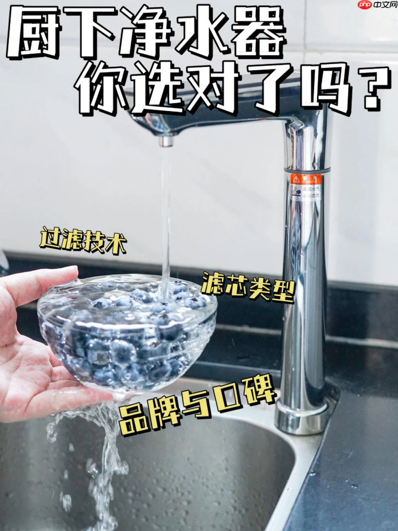 厨下净水器选购技巧:从性能到成本,全方位避坑指南