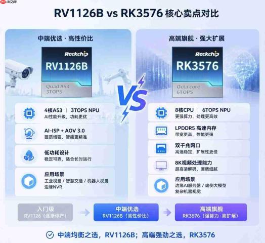 RV1126B和RK3576AI应用心片及核心板选型—性能参数对比分析