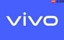 vivo新机通过3C认证 支持100W快充 新折叠屏手机将发布