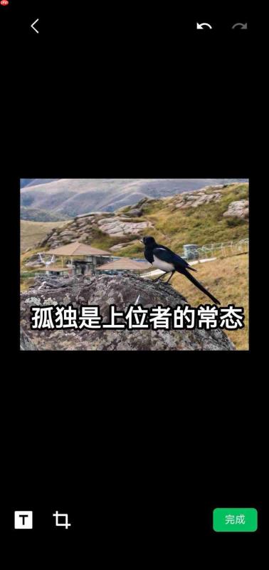 鸿蒙版微信内测招募中,新版上线学生认证、定时提醒,学生党速更