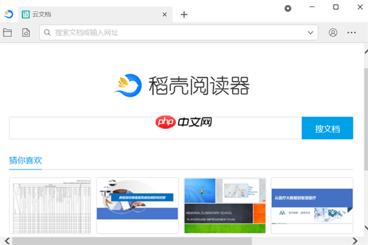 稻壳阅读器怎么翻译英文?稻壳阅读器设置中文模式的方法