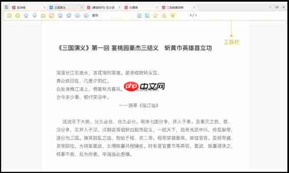 稻壳阅读器怎么翻译英文?稻壳阅读器设置中文模式的方法