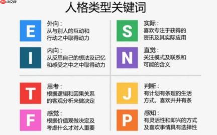 SBTI人格测试类型有哪些