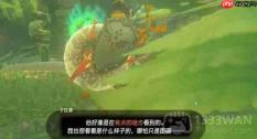 塞尔达巨大的骨碌碌怎么做-巨大的骨碌碌任务攻略