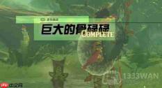塞尔达巨大的骨碌碌怎么做-巨大的骨碌碌任务攻略