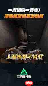 三角洲行动疾风大招能自救几回