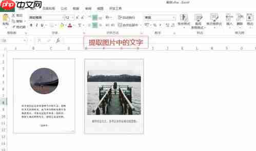 白描手机版如何快速提取图片中文字