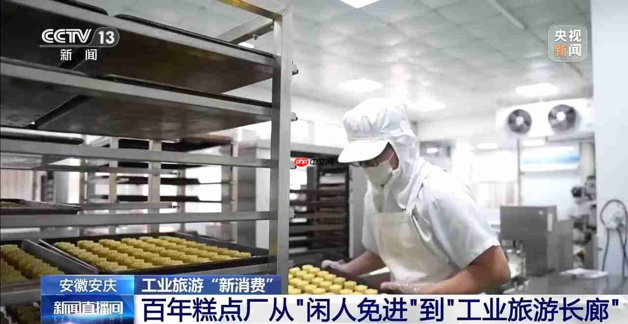 从老字号到文旅新地标 解锁工业旅游新玩法