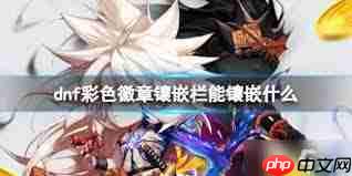 DNF2026枪剑士徽章如何选择属性