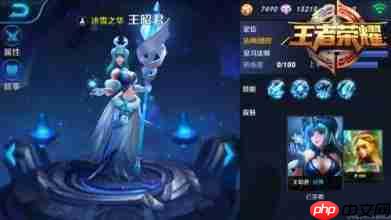 王者荣耀世界王昭君怎么培养