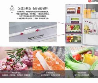 科技焕新夏日居家，LG洗护储鲜家电赋能品质生活