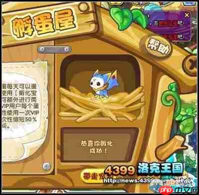 洛克王国异色孵蛋概率是多少