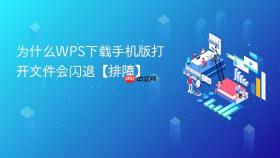 为什么wps下载手机版打开文件会闪退【排障】