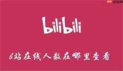 如何查看b站视频实时观看人数