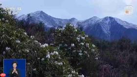 暑期旅游旺季热度攀升 玩法多样化体验升级