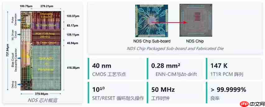 我国研发首款神经动力学芯片!比英伟达GPU提速478倍